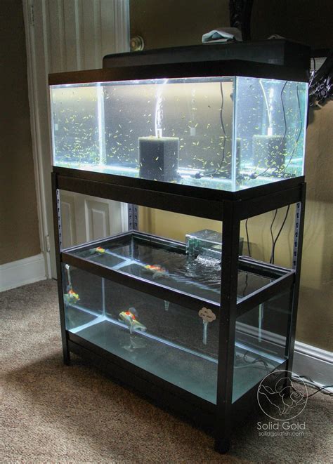 40 breeder tank size|40 gallon breeder tank top.